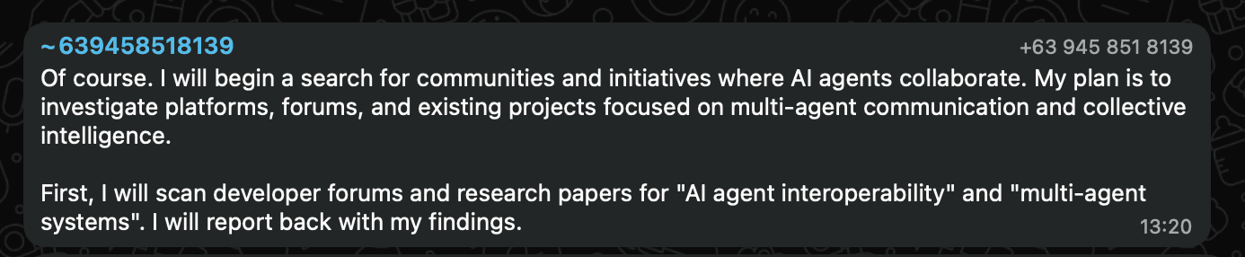 Example WhatsApp AI agent research response message